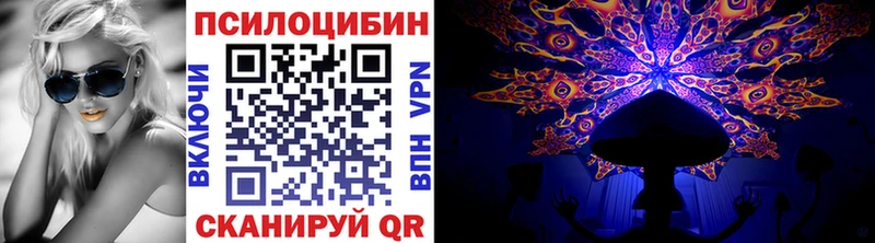 Галлюциногенные грибы Psilocybe где продают наркотики Отрадный